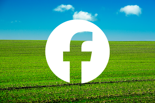 Billede af en mark, hvor der er lagt et Facebook logo indover